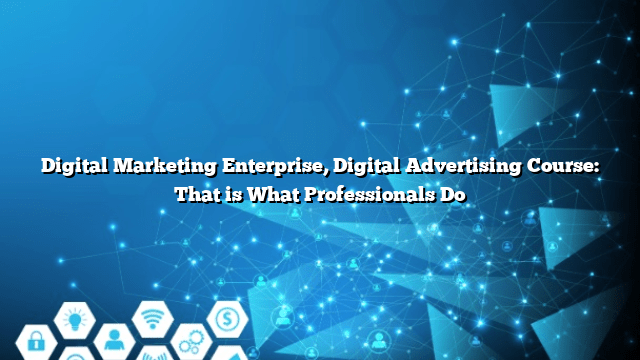 Digital Marketing Enterprise, Digital Advertising Course: That is What Professionals Do